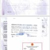 Giấy phép lưu hành tự do Châu Âu ( EU)